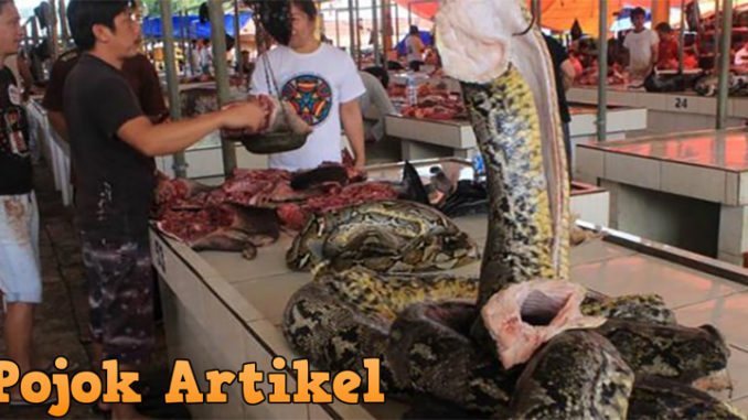 Daging Ular Harga Murah Meriah Hanya 20 Ribuan Saja !!Daging Ular Harga Murah Meriah Hanya 20 Ribuan Saja !!